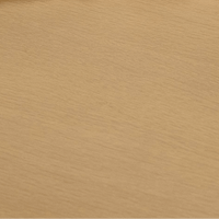 Pale Oak Swatch