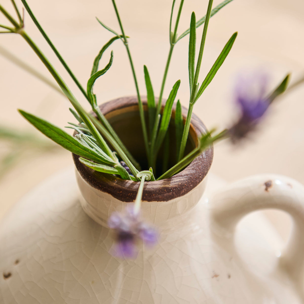 Corsino 16cm Ceramic Vase - Handle - Off White